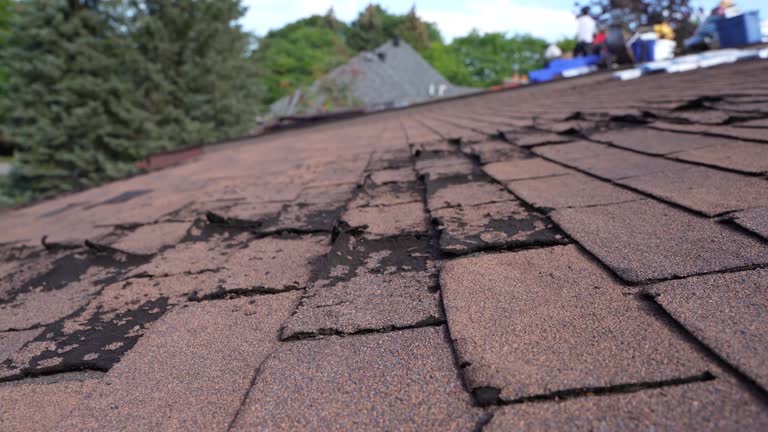 Best Roof Leak Repair  in Biggs, CA